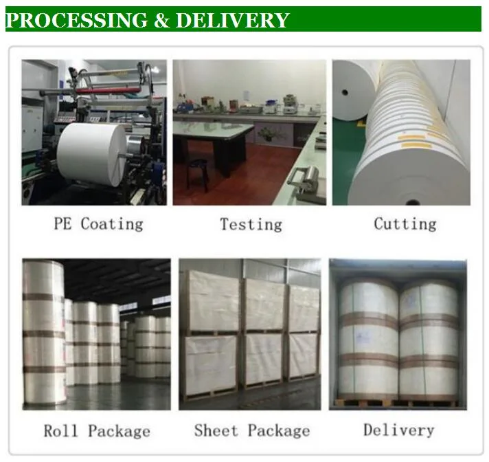 China Food Package PE Coated Paper in Roll