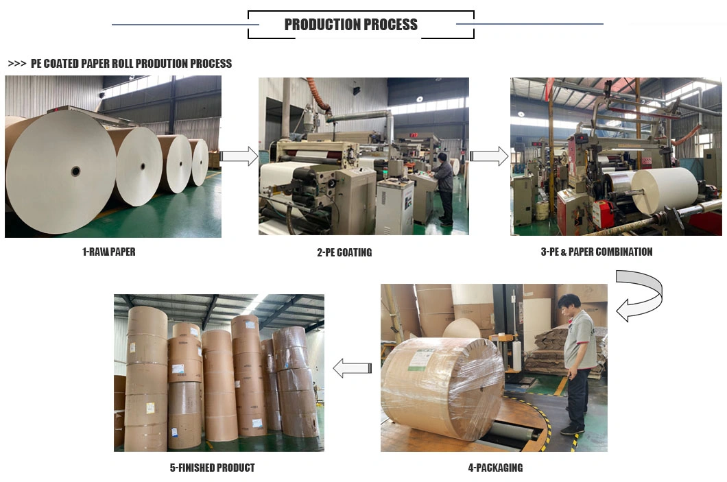 High Glossy PE Coated Paper in Rolls / Sheets for Cup with Low Price
