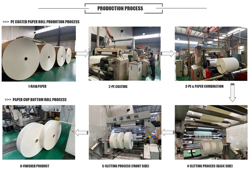 Puncture Resistance Food Grade PE Coated Paper Cup Bottom Roll