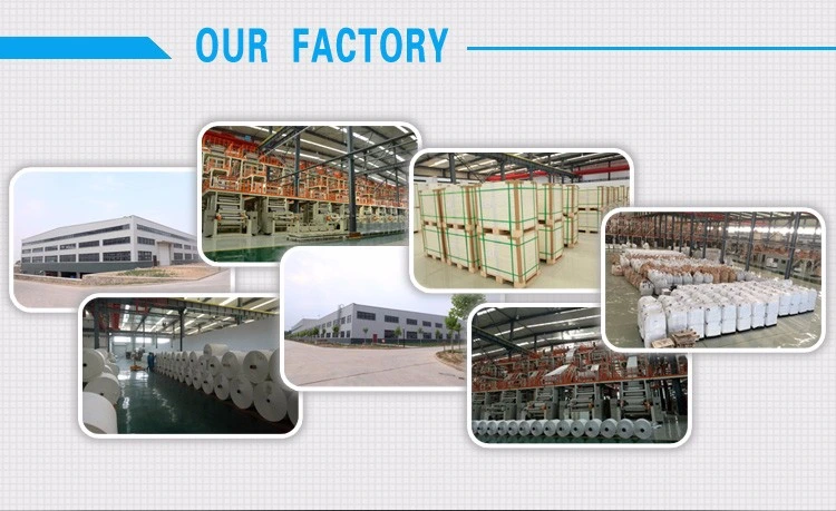Paper Factory in China Supply Stone Paper PE Coated Paper