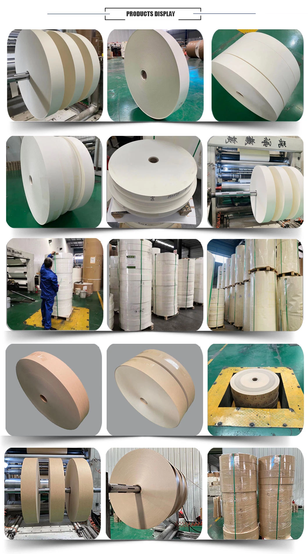 Puncture Resistance Food Grade PE Coated Paper Cup Bottom Roll