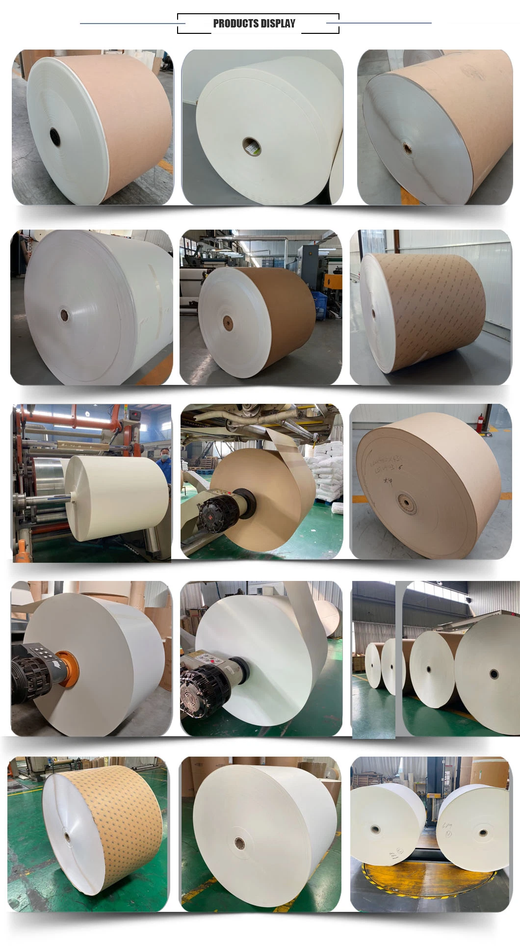 High Glossy PE Coated Paper in Rolls / Sheets for Cup with Low Price